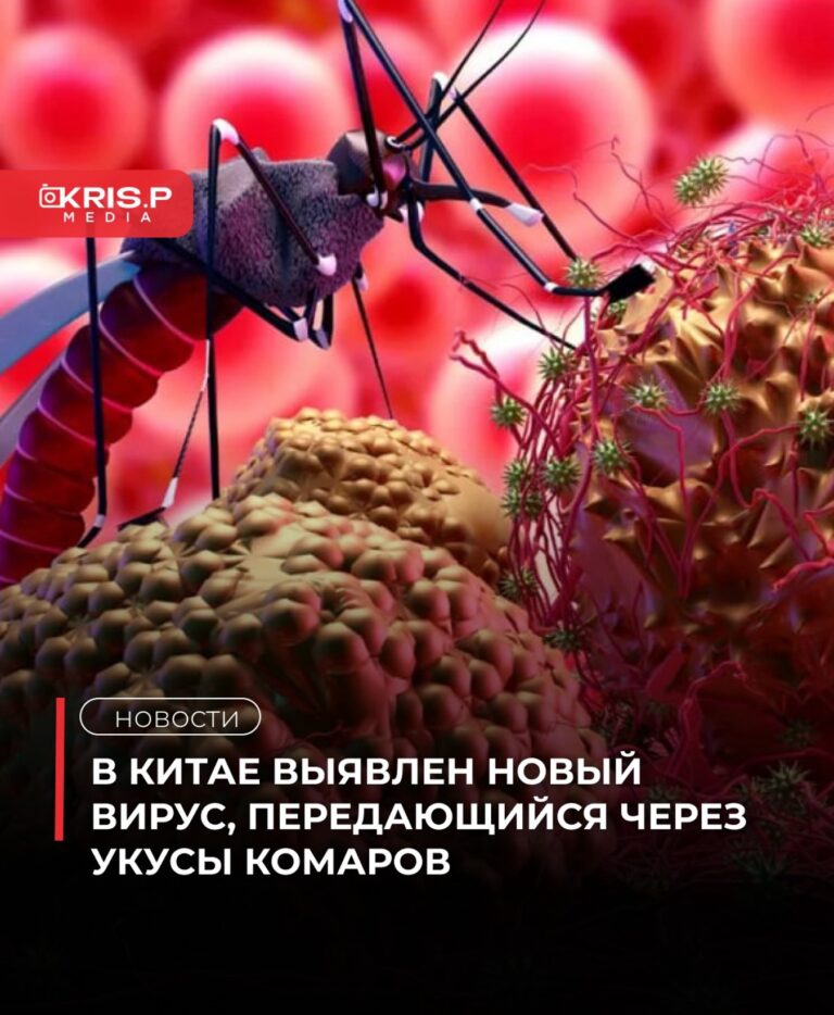 526571300_18413658868107481_574721533189250891_n