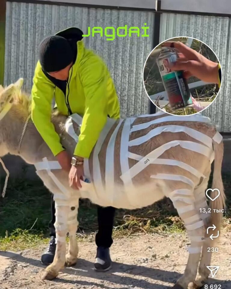 Изображение WhatsApp 2025-10-28 в 10.06.59_b6b230bb