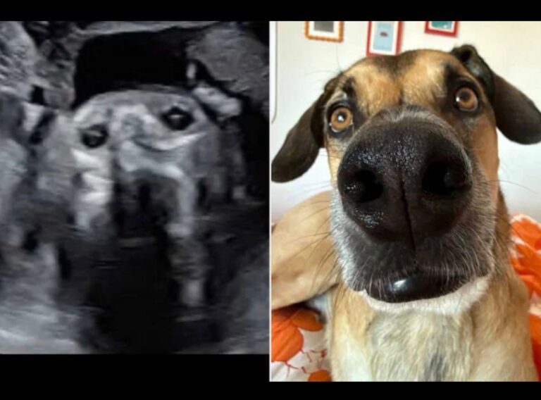 Изображение WhatsApp 2025-10-30 в 12.22.26_4e0a3129