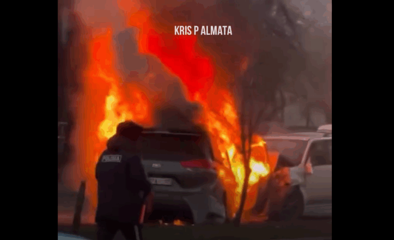 Снимок экрана 2025-11-25 111859