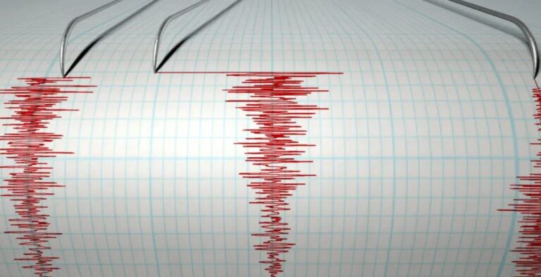 photo_2025-12-04_12-53-41