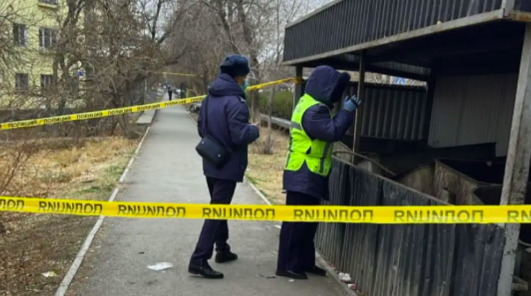 Снимок экрана 2025-12-10 115740