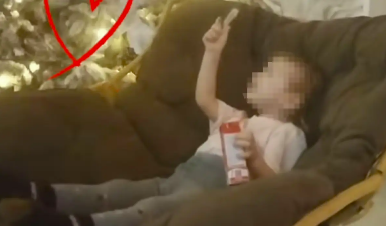 Снимок экрана 2025-12-26 141157