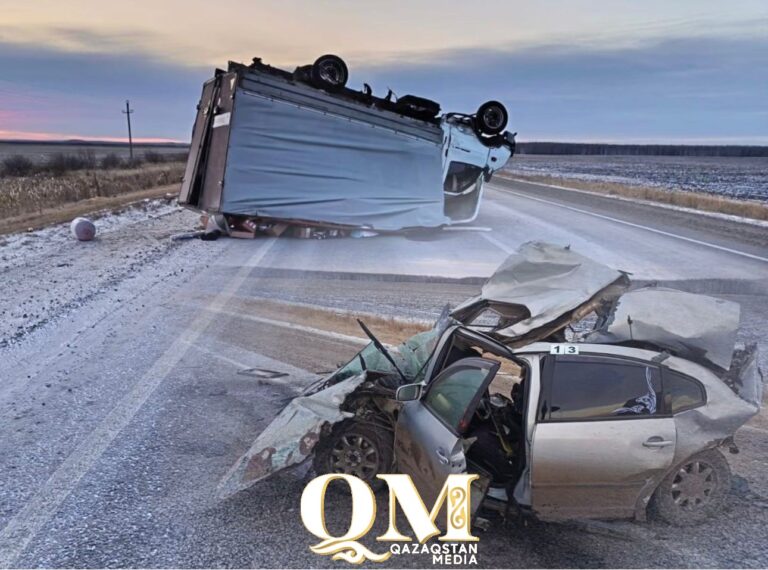 WhatsApp-Image-2025-12-14-at-14.00.50