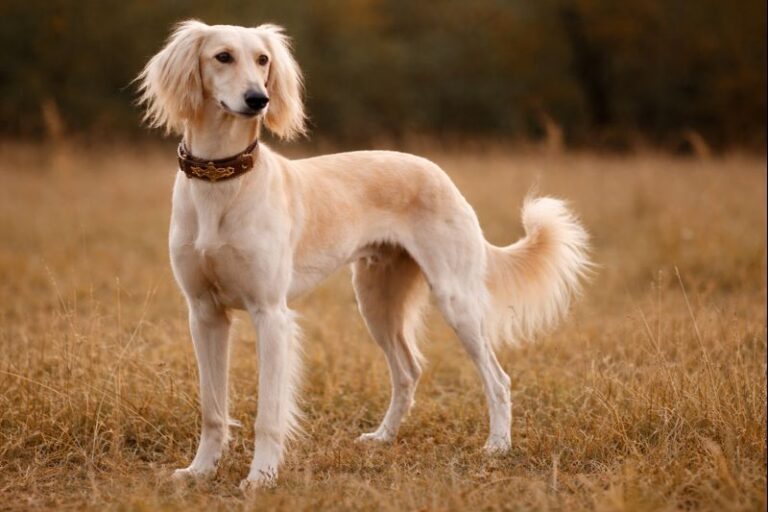 630f1ec7-ea8f-44ac-9f0a-82bb68a29e70-md