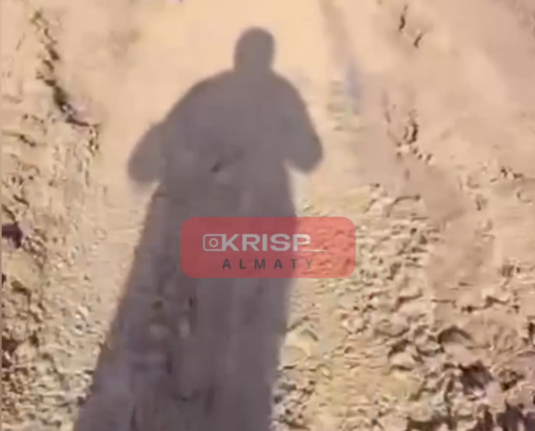 Снимок экрана 2026-01-06 094223