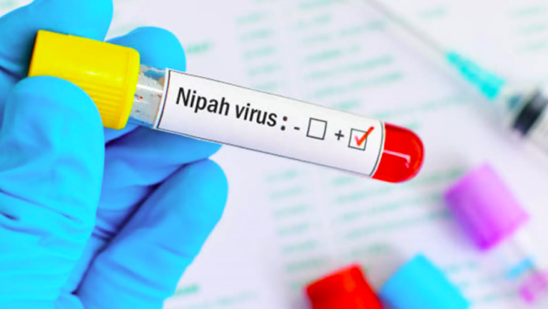 Снимок экрана 2026-01-26 133533