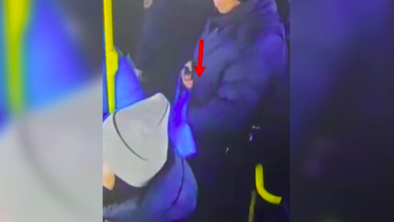 Снимок экрана 2026-01-29 125135