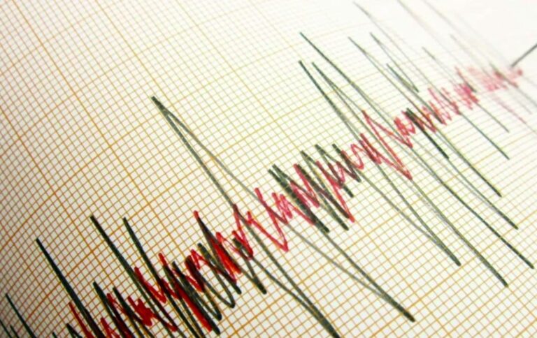 photo_2026-02-05_14-13-52