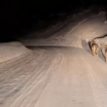 Снимок экрана 2026-02-09 155817