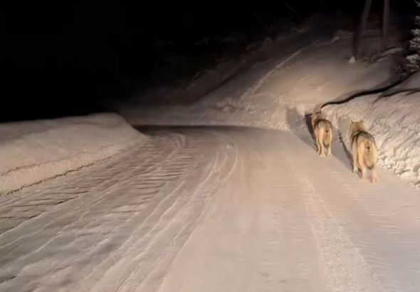 Снимок экрана 2026-02-09 155817