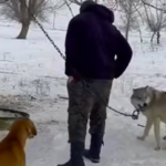 Снимок экрана 2026-02-10 175217