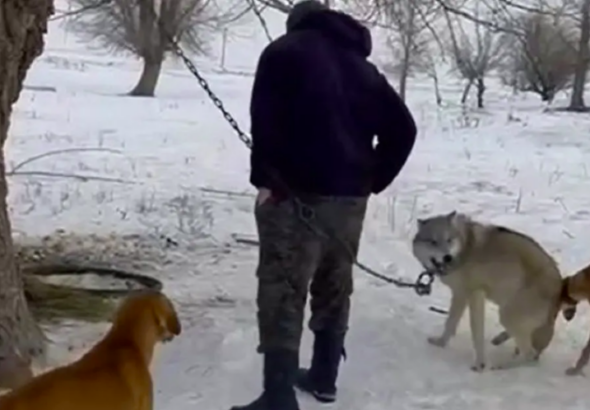 Снимок экрана 2026-02-10 175217