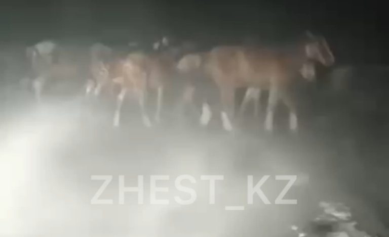 Снимок экрана 2026-02-11 113850